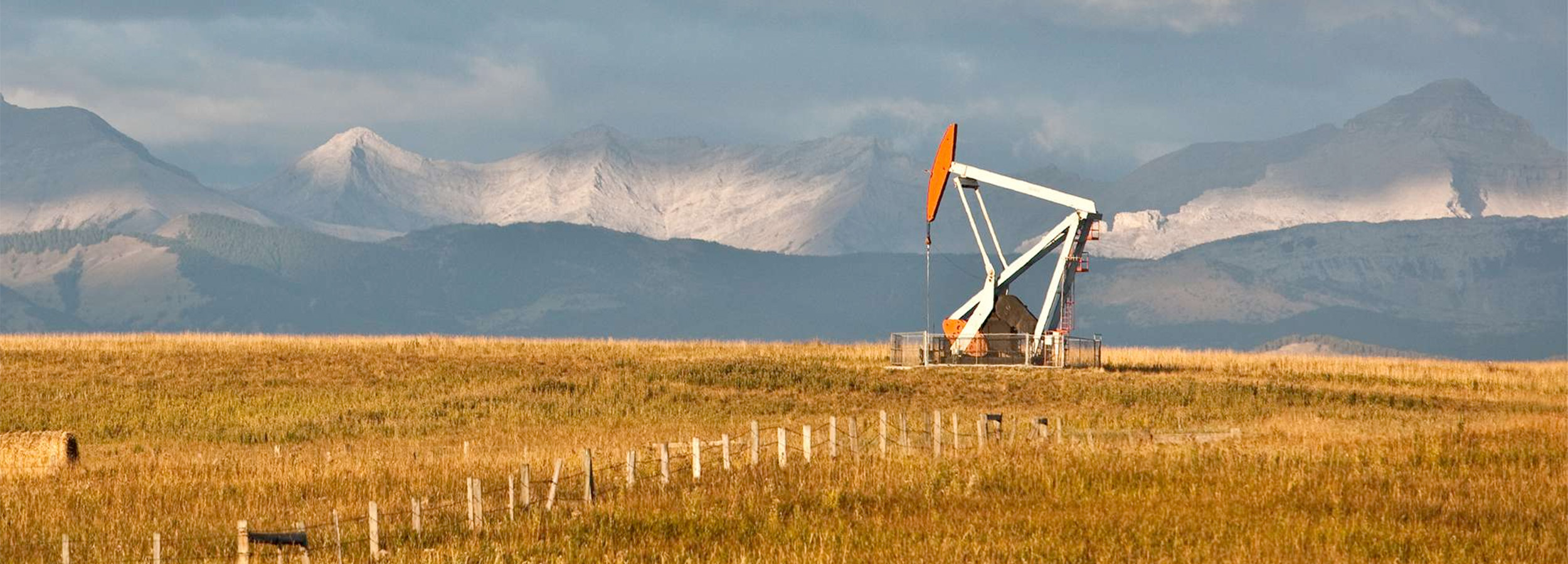 About Elephant Oil and Gas