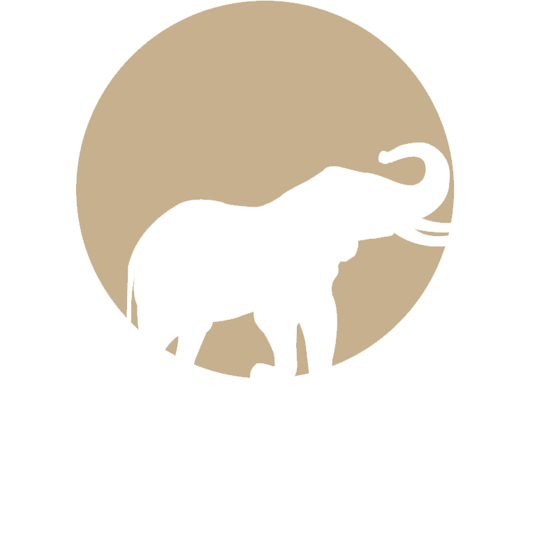 Elephant Oil & Gas