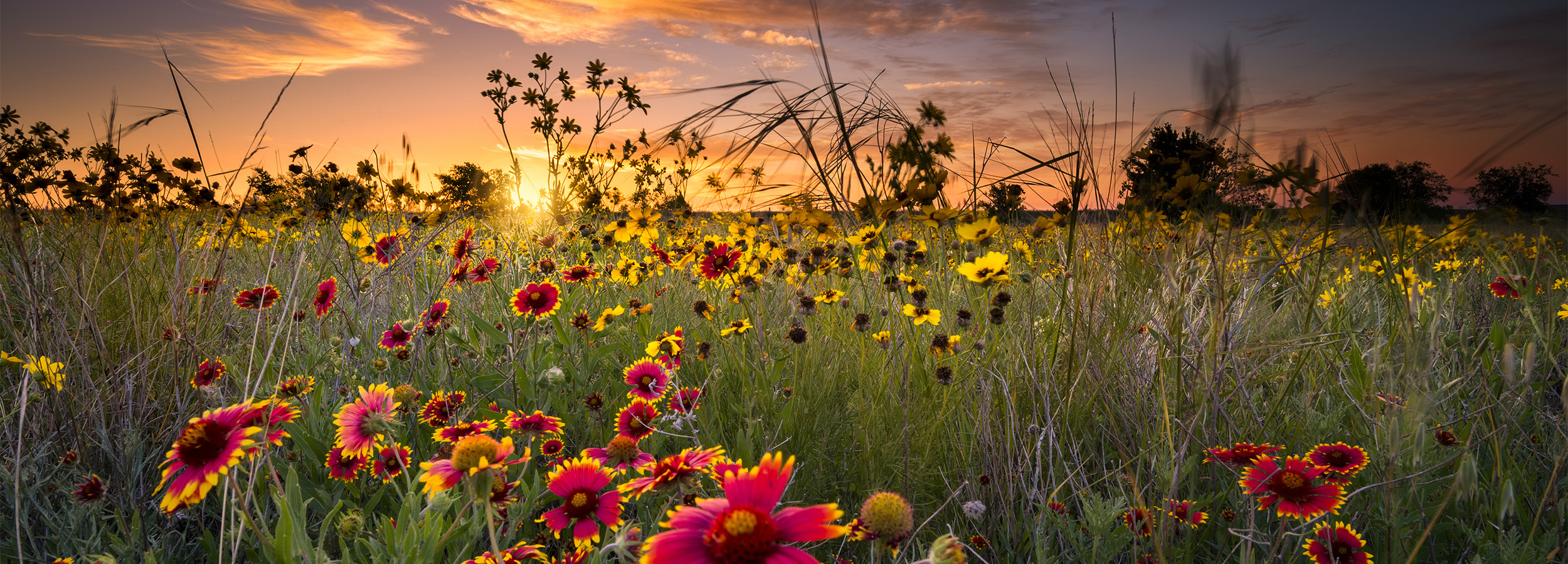 Community responsibility